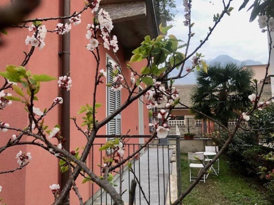 Giuditta Freecarpark&Garden Domodossola Eksteriør billede