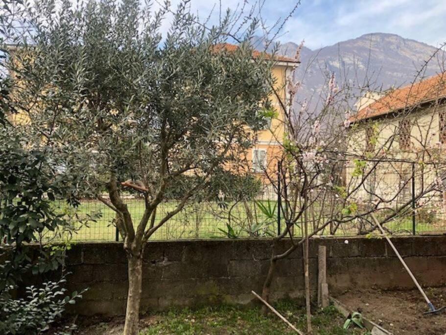 Giuditta Freecarpark&Garden Domodossola Eksteriør billede