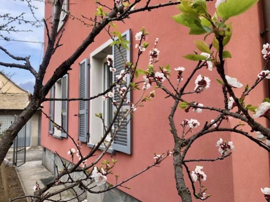 Giuditta Freecarpark&Garden Domodossola Eksteriør billede