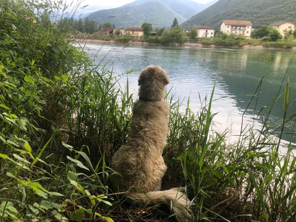 Giuditta Freecarpark&Garden Domodossola Eksteriør billede