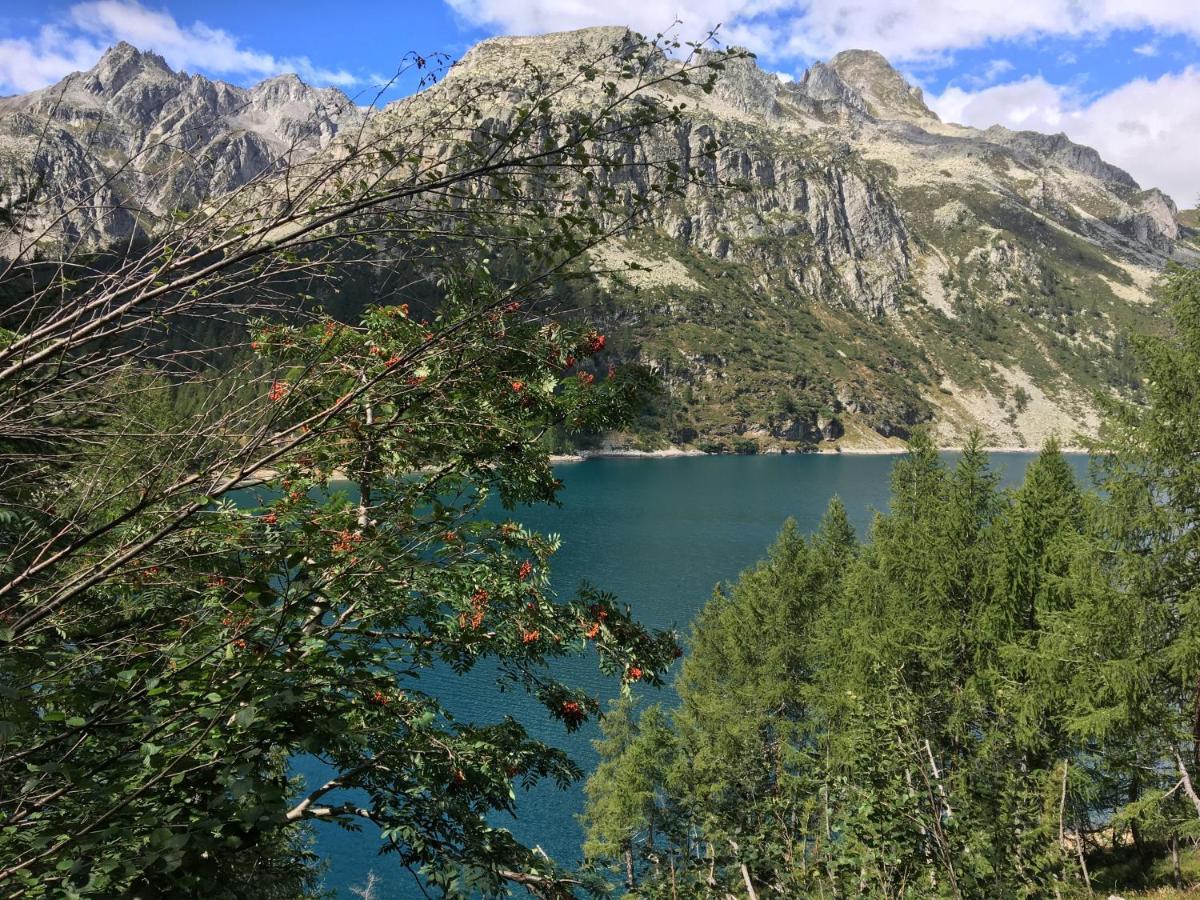 Giuditta Freecarpark&Garden Domodossola Eksteriør billede
