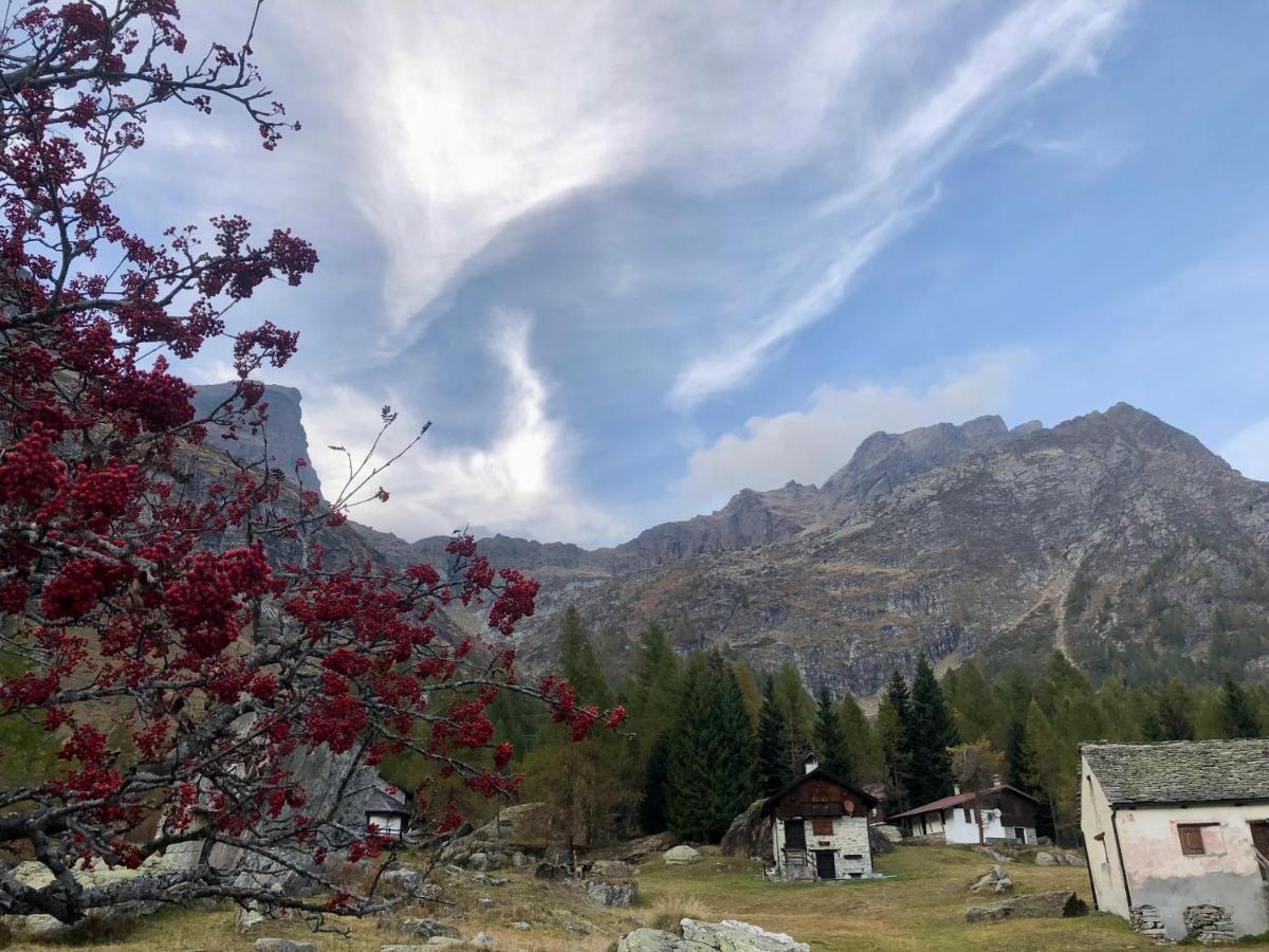 Giuditta Freecarpark&Garden Domodossola Eksteriør billede
