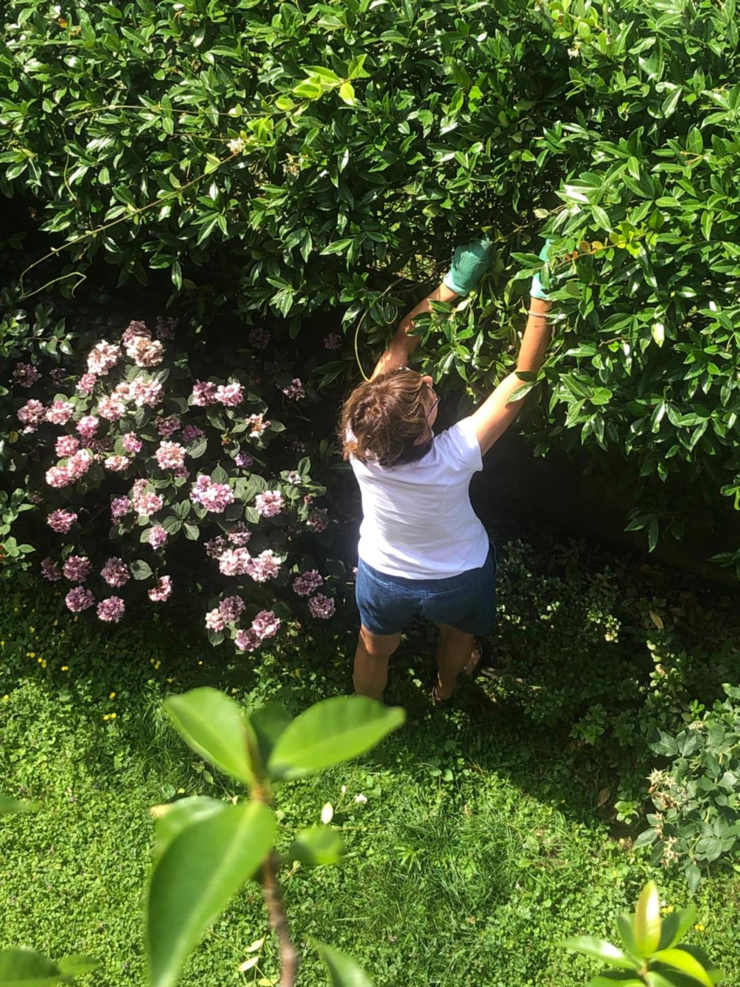 Giuditta Freecarpark&Garden Domodossola Eksteriør billede