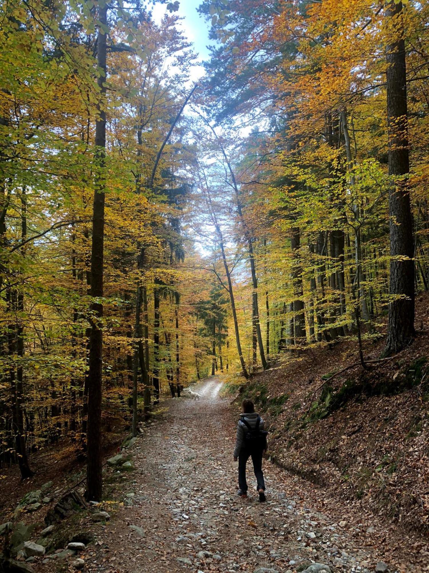 Giuditta Freecarpark&Garden Domodossola Eksteriør billede